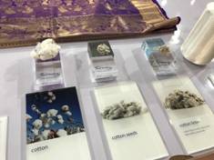 インド での取材